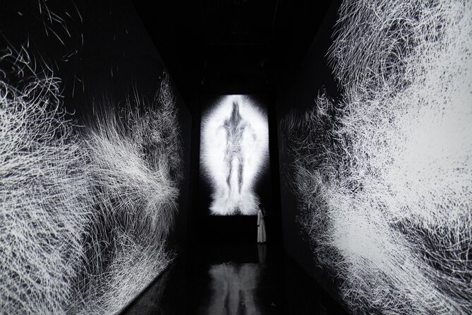 Singapore ArtScience Museum Admission Ticket - Future World and the teamLab approach