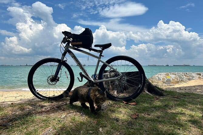 Singapore Beach City Cycling Tour - Marina Barrage and Gardens by the Bay