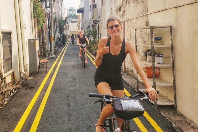 Singapore Bike and Bites Food Tour - Chinatown: food, temples, and early immigrant life