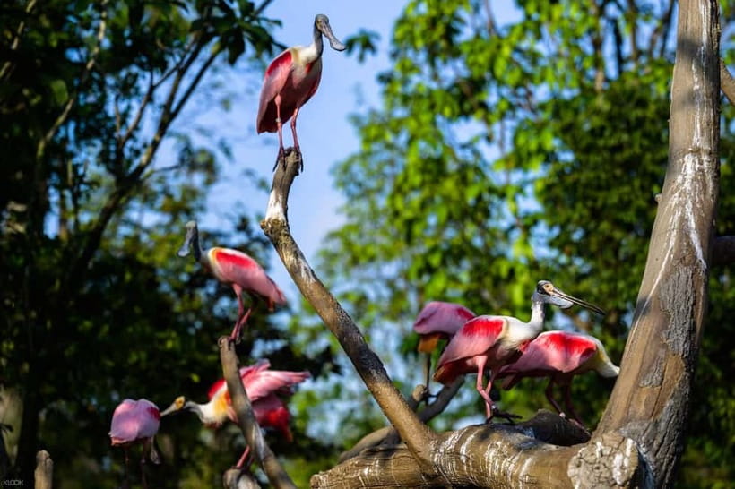 Singapore: Bird Paradise - Wetlands, flowers, and bold colour