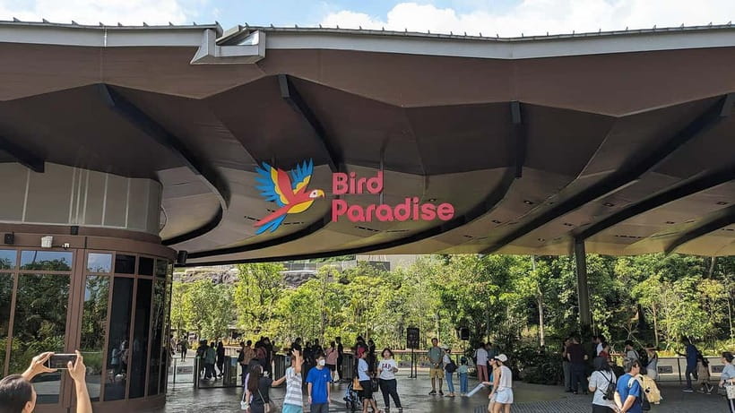 Singapore: Bird Paradise - Asian birds among bamboo and paddy terraces