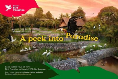 Singapore: Bird Paradise Entry Ticket
