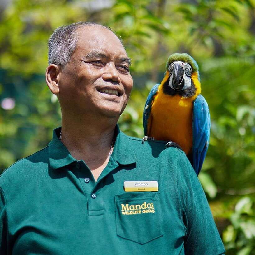 Singapore: Bird Paradise Entry Ticket - Conservation work behind the visitor experience