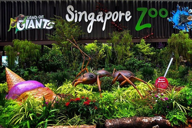 Singapore Bird Paradise & Zoo Full Day (Ticket & Transfer ) - Why this full-day wildlife outing works