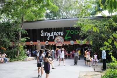 Singapore Bird Paradise & Zoo Full Day (Ticket & Transfer )