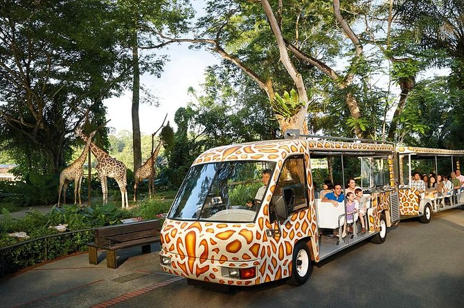 Singapore Bird Paradise & Zoo Full Day (Ticket & Transfer ) - Pickup rules can shape the whole day
