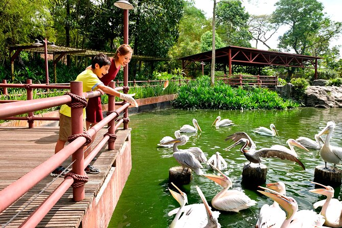 Singapore Bird Paradise & Zoo Full Day (Ticket & Transfer ) - How to use three hours at each park