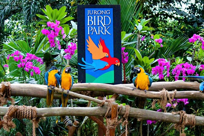 Singapore Bird Paradise & Zoo Full Day (Ticket & Transfer ) - Cancellation and booking checks