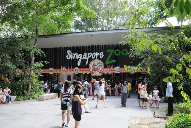 Singapore Bird Paradise & Zoo Full Day (Ticket & Transfer ) - Singapore Zoo: open habitats and orangutan country