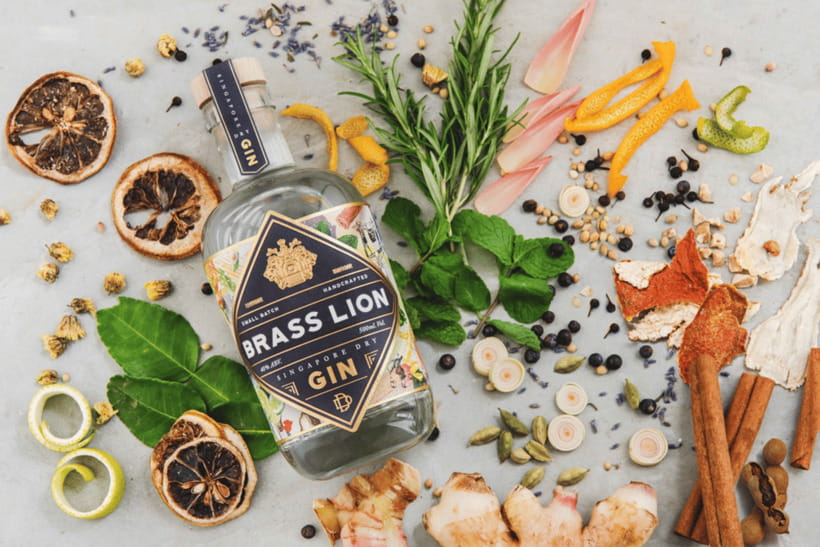 Singapore: Brass Lion Guided Gin Tasting Experience Ticket - Six gins, six ways to read a glass
