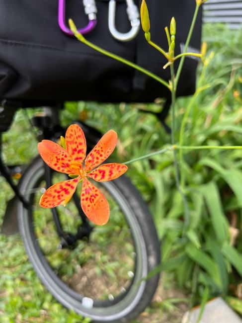 Singapore Brompton Bike Tour from Rail Corridor, with food! - Kallang Riverside and the Marina Bay finish