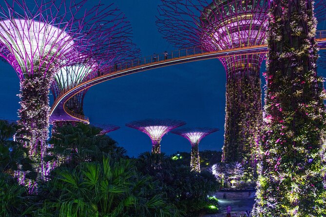 Singapore by Night Top Senic Sightseeing Private Tour - A fast route through Singapore after dark