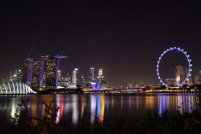 Singapore by Night Top Senic Sightseeing Private Tour - What the private vehicle adds