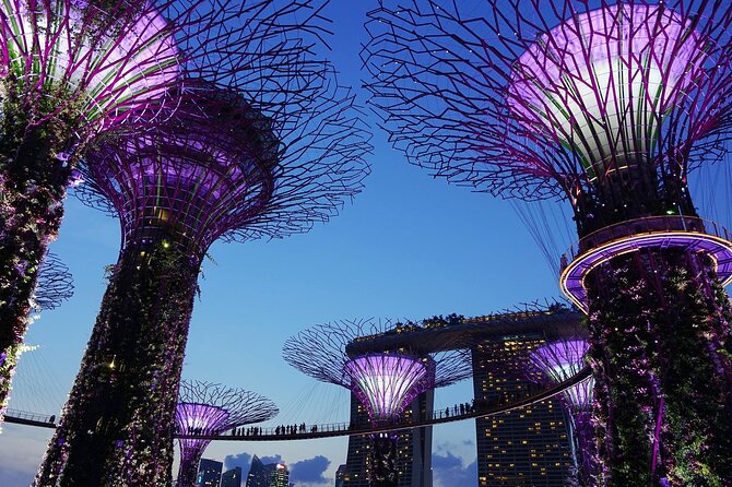 Singapore by Night Top Senic Sightseeing Private Tour - Guide quality and the human side of the tour
