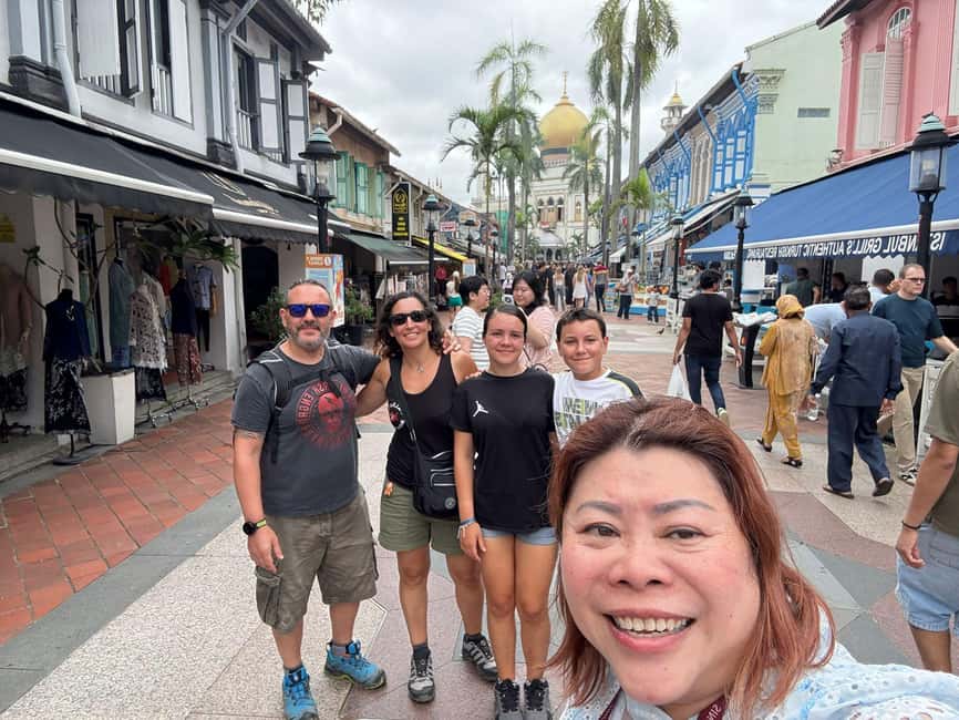 Singapore: Customized Private Tours (Car/Bus/Walking) - Choosing between a private car and public transport