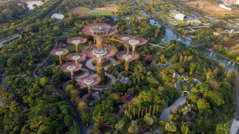Singapore: Day Tour for Sentosa, Gardens by the Bay, Flyer - The private car and what the driver does