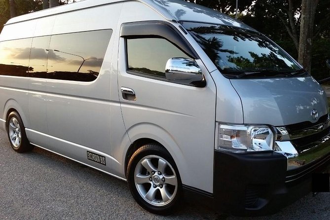 Singapore Departure Transfer (Hotel to Airport) - What the private vehicle is like