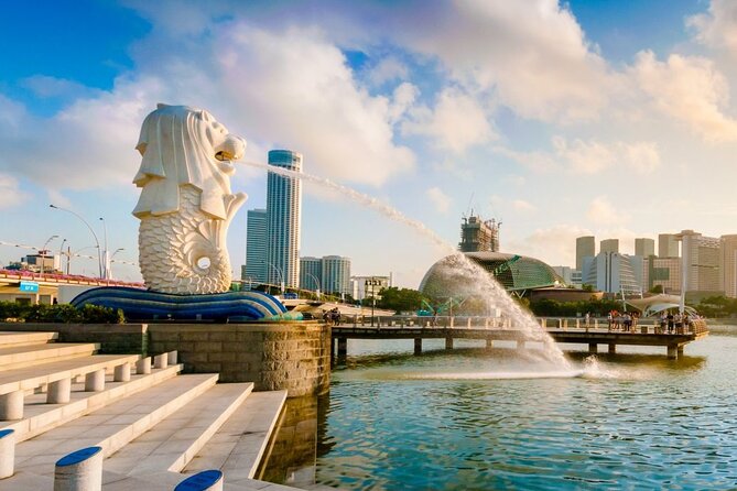 Singapore Departure Transfer (Hotel to Airport) - Tips for a smooth departure