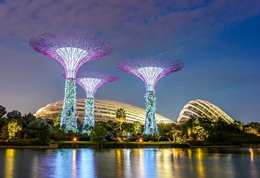 Singapore: Disney Garden of Wonder at Floral Fantasy - Key points to know before you go