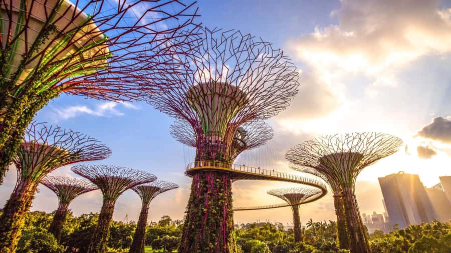 Singapore: Disney Garden of Wonder at Floral Fantasy - How to fit the display into a full day