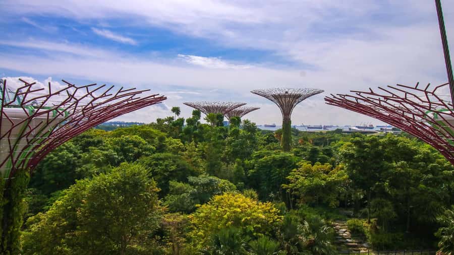 Singapore: Disney Garden of Wonder at Floral Fantasy - Access, pace, and practical comfort