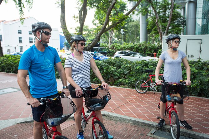 Singapore Full-Day Bike & Food Tour ( Private Tour ) - One day that links Singapore’s river, streets, and food stalls