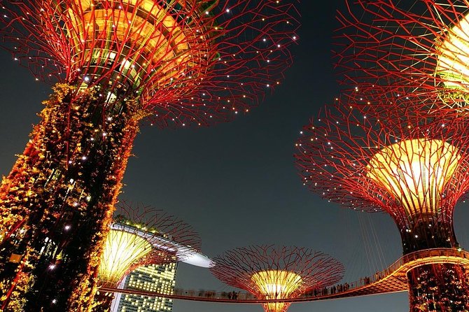 Singapore: Gardens by the Bay Admission E-Ticket - What you are really buying at Gardens by the Bay