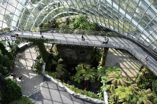 Singapore: Gardens by the Bay Admission E-Ticket - Ticket delivery and package confusion