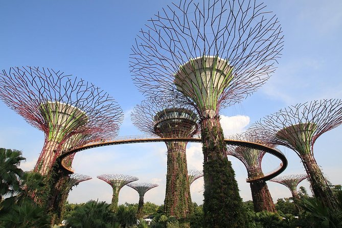 Singapore: Gardens by the Bay Admission E-Ticket - Cloud Forest: the strongest indoor attraction
