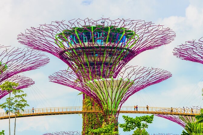 Singapore Gardens by the Bay Admission Skip-The-Line E-Ticket - Flower Dome, the world’s largest glass greenhouse