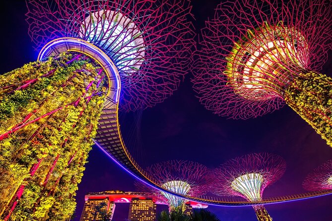 Singapore Gardens by the Bay Admission Skip-The-Line E-Ticket - Supertrees and the extra Skyway decision