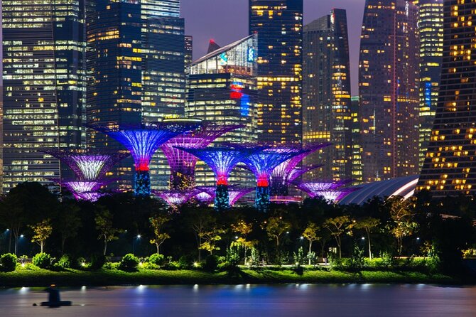 Singapore Gardens by the Bay Admission Skip-The-Line E-Ticket - A sensible order for your day
