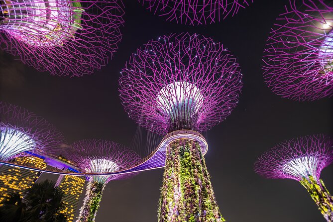 Singapore Gardens by the Bay Admission Skip-The-Line E-Ticket - Opening hours and closure dates to check