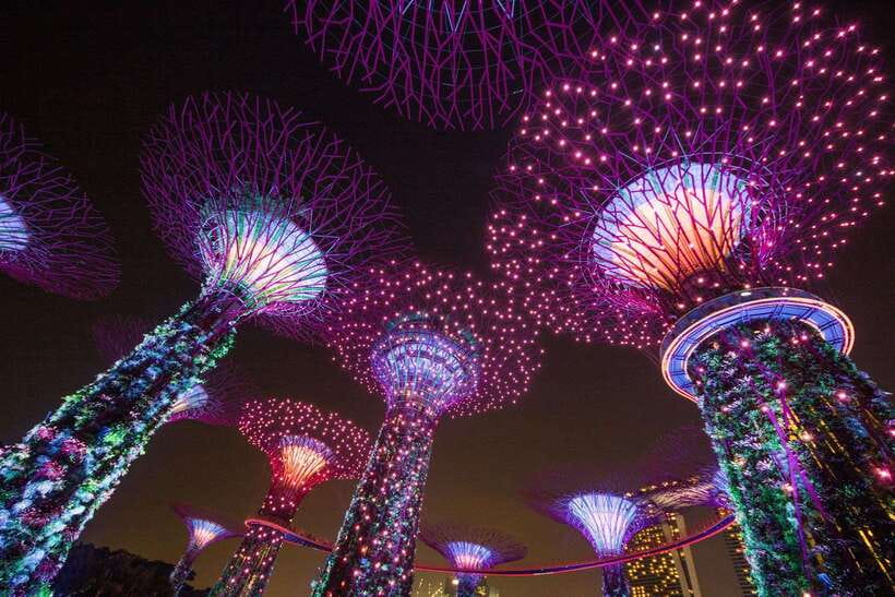 Singapore: Gardens by the Bay Bundle Entry Ticket - Flower Dome’s changing displays
