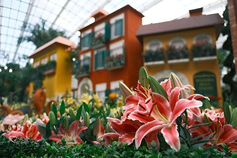 Singapore: Gardens by the Bay Bundle Entry Ticket - Floral Fantasy and the Year of the Horse display