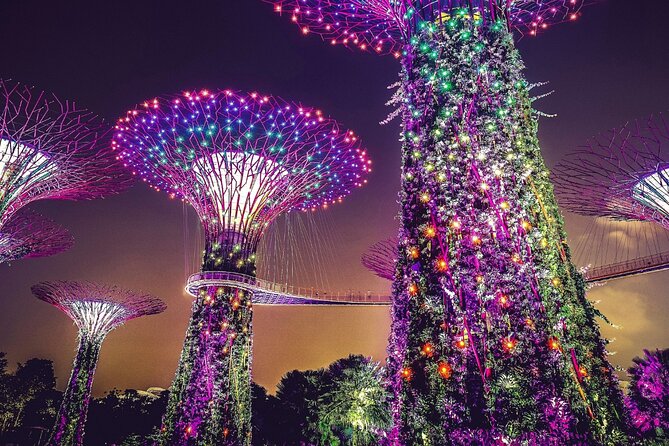 Singapore Gardens by the Bay & Jurassic World with Hotel Pick up - Flower Dome’s cool-dry plant collection