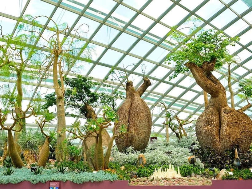 Singapore: Gardens by the Bay & Jurassic World with Pickup - Satay by the Bay and the Private Package