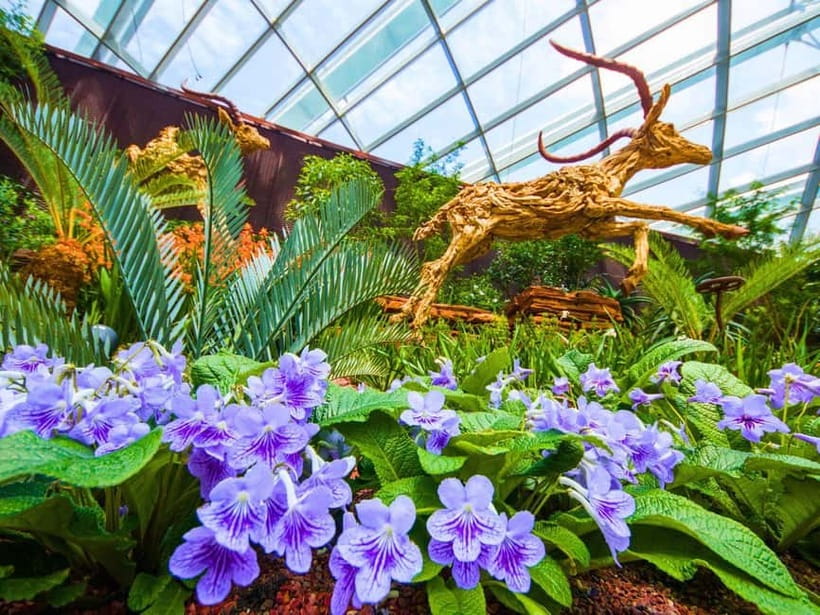 Singapore: Gardens by the Bay & Jurassic World with Pickup - Should You Book This Gardens by the Bay Experience?