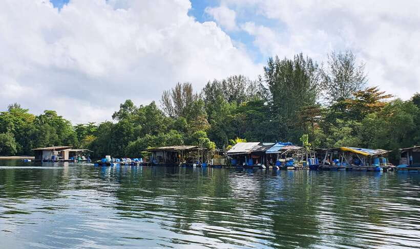Singapore: Guided Boat Tour and Kelong Fish Farm Visit - Wildlife, weather, and the open-air trade-off
