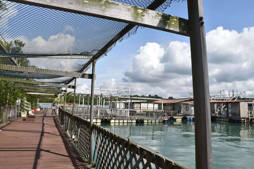 Singapore: Guided Boat Tour and Kelong Fish Farm Visit - Is $225 a fair price?