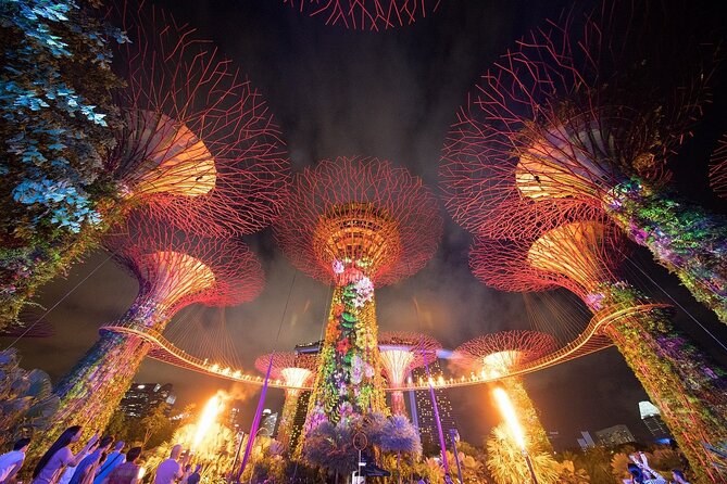 Singapore Guided Night Tour with 2 Light Shows & River Cruise - Transport, walking, and group size