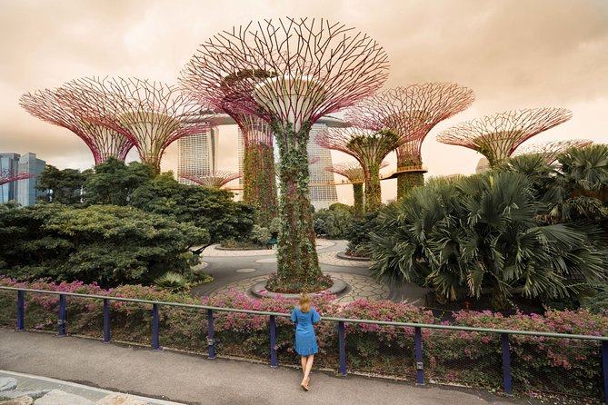 Singapore Instagram Private Walking Tour (Private & All-Inclusive) - Starting at Marina Bay Sands