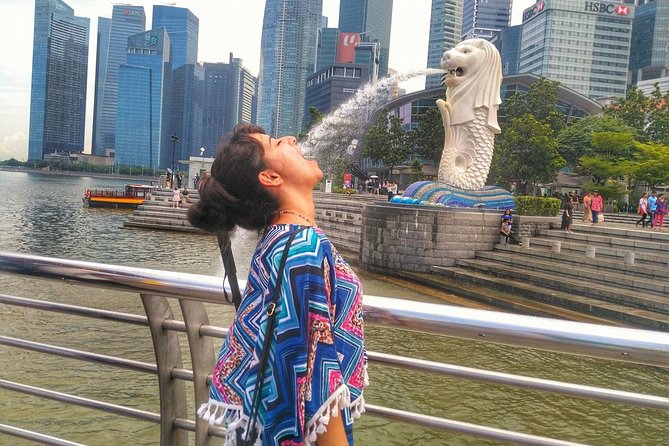 Singapore Instagram Tour By Car (Private & All-Inclusive) - Gardens by the Bay in a 30-minute visit