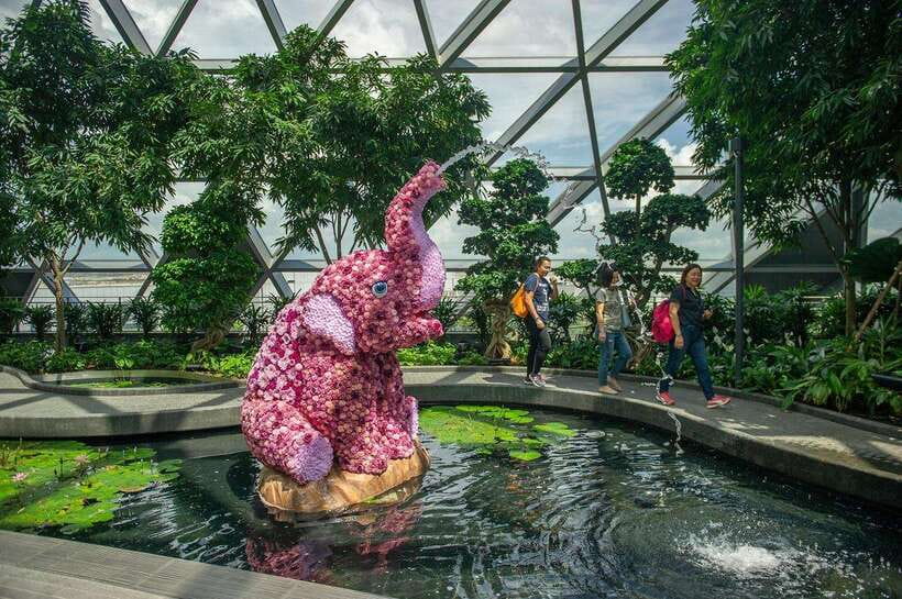 Singapore: Jewel Changi Airport Attraction Ticket - The Rain Vortex and Forest Valley