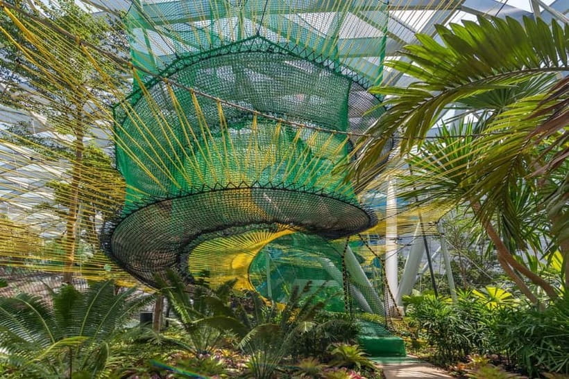 Singapore: Jewel Changi Airport Attraction Ticket - Finding your way through the hedge maze
