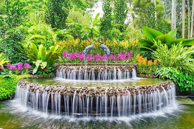 Singapore: National Orchid Garden Admission Ticket - Entering through the free Botanic Gardens