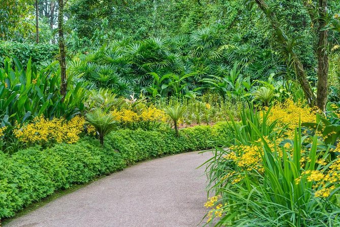 Singapore: National Orchid Garden Admission Ticket - Is the $7.77 ticket good value?