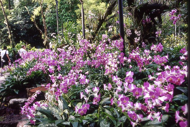 Singapore: National Orchid Garden Admission Ticket - The ticket detail that can affect your entry