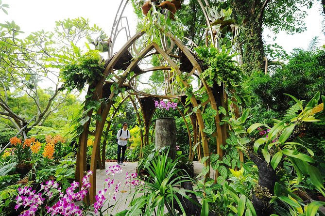 Singapore: National Orchid Garden Admission Ticket - Walking among 1,000 species and 2,000 hybrids