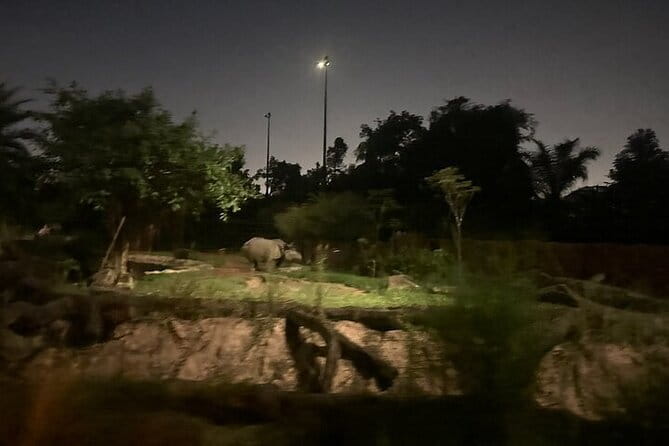Singapore Night Safari - Catch the five-minute Twilight Performance